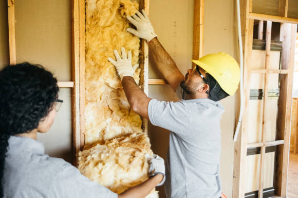 Best Basement Insulation  in Nocona, TX